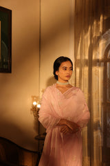 Dilnaaz Light Pink Saree
