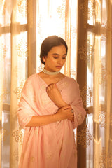 Dilnaaz Light Pink Saree